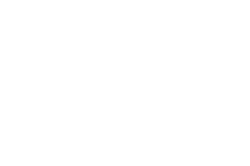 101 Group - Digital NEXA Consulting Client