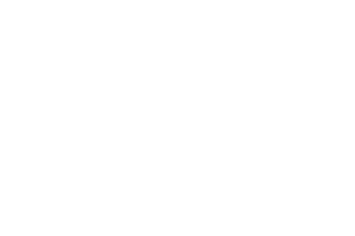 American Heart Association - Digital NEXA Consulting Client
