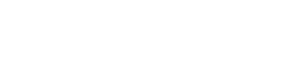 Belkin_Wordmark_White