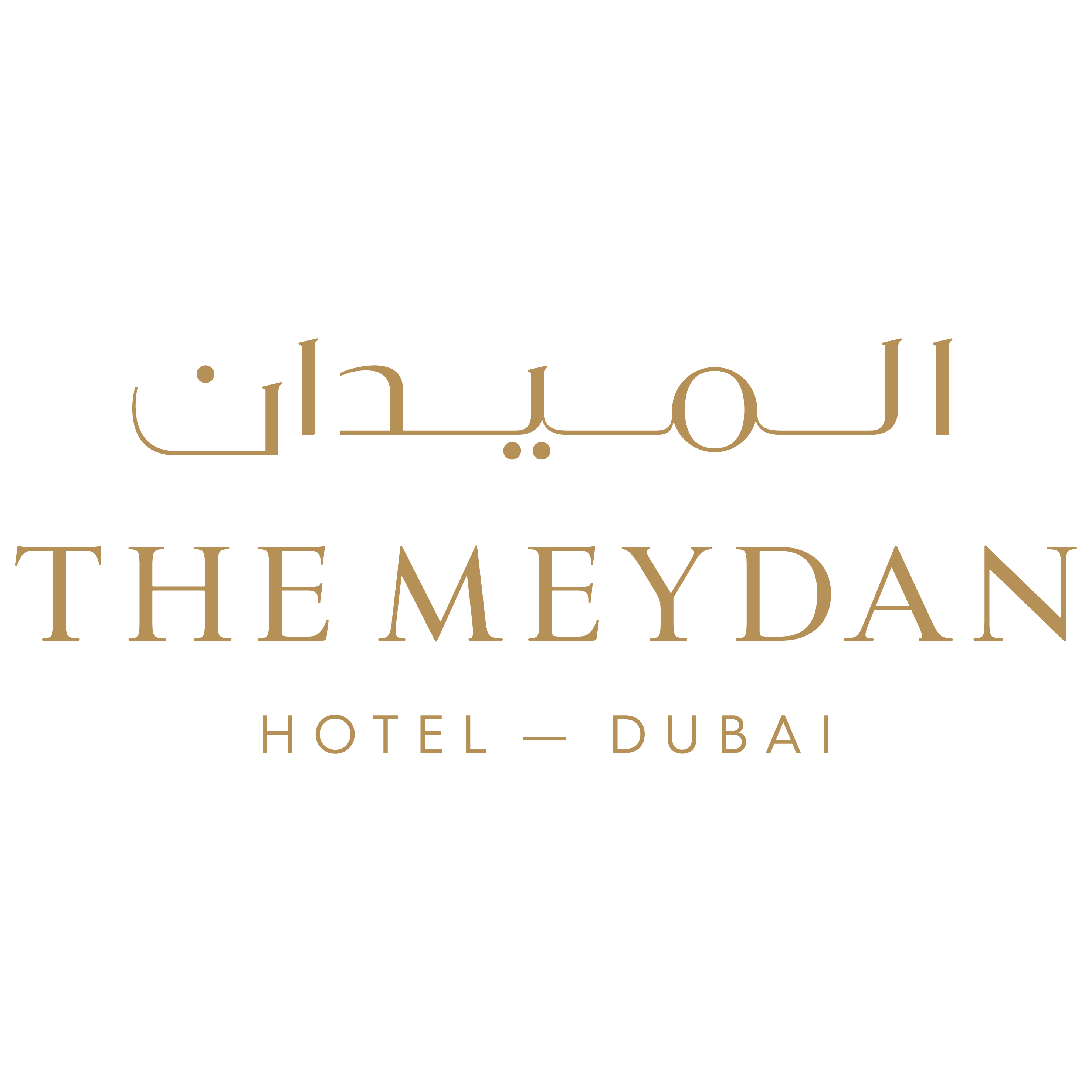 THE_MEYDAN_Logo-07 (1)