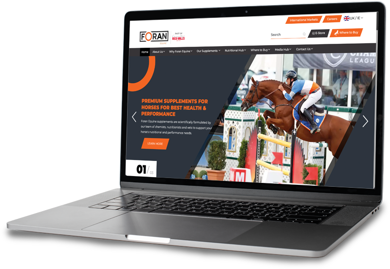 Foren Equine 02