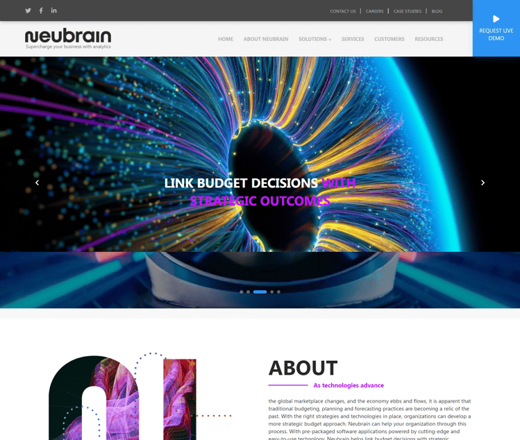 neubrain