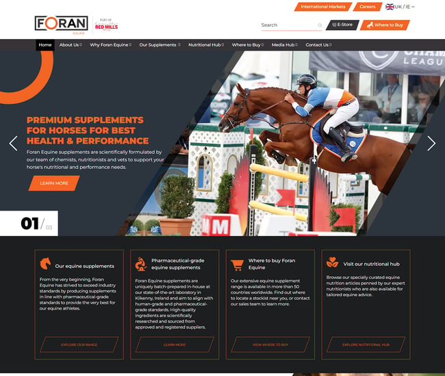 Website Design & Development Services