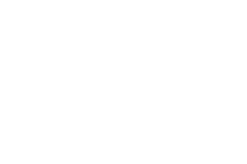 Barcelo Hotels - Digital NEXA Consulting Client