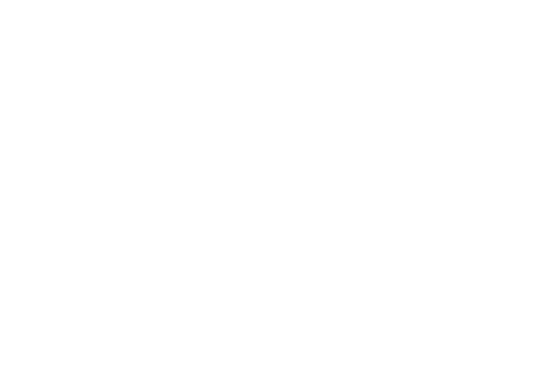 McKinsey - Digital NEXA Consulting Client