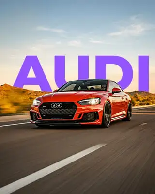 Audi-case