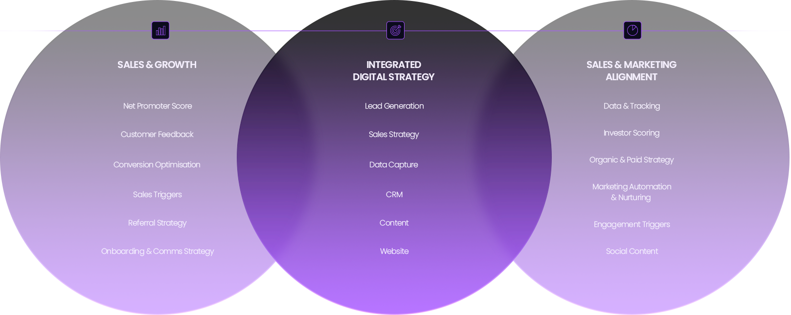 IntegratedDigitalStrategy-Asset