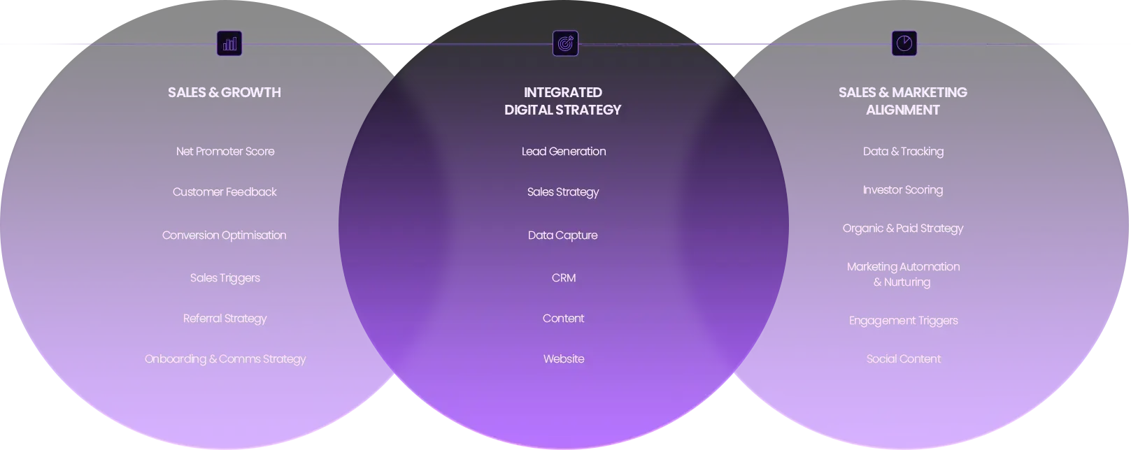 IntegratedDigitalStrategy-Asset IntegratedDigitalStrategy-Asset